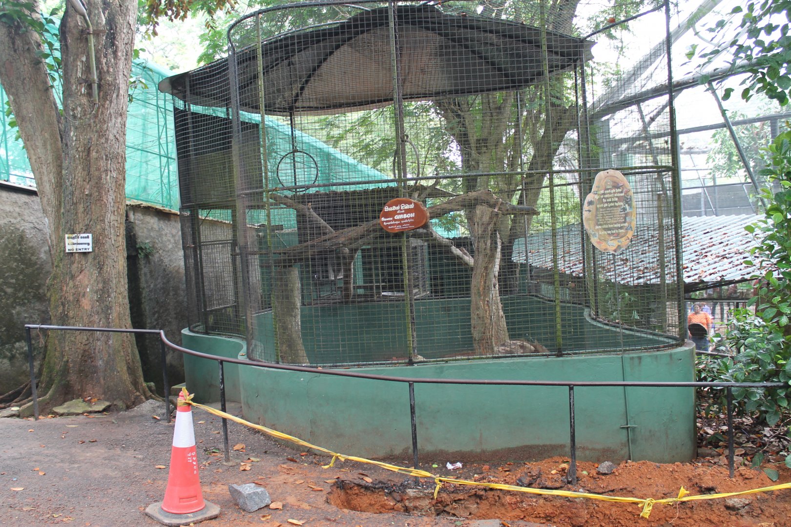cage for Siamang (Symphalangus syndactylus)