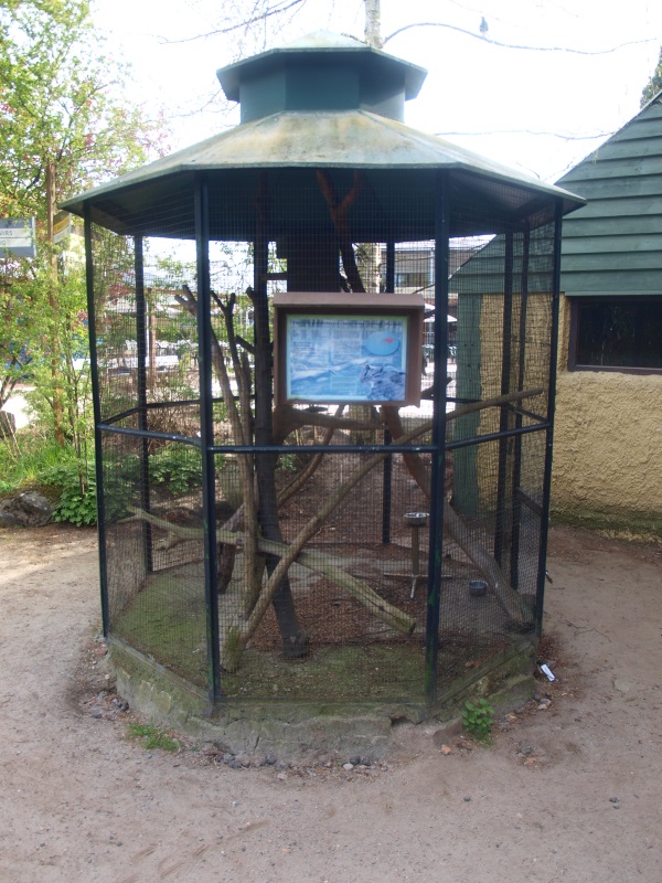 Cage for Siberian chipmunks (April 19th, 2015)