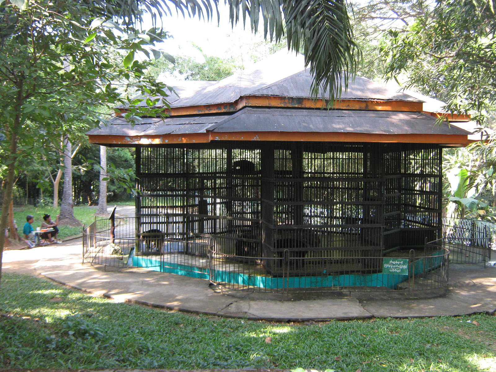cage for Sun Bears (Helarctos malayanus)