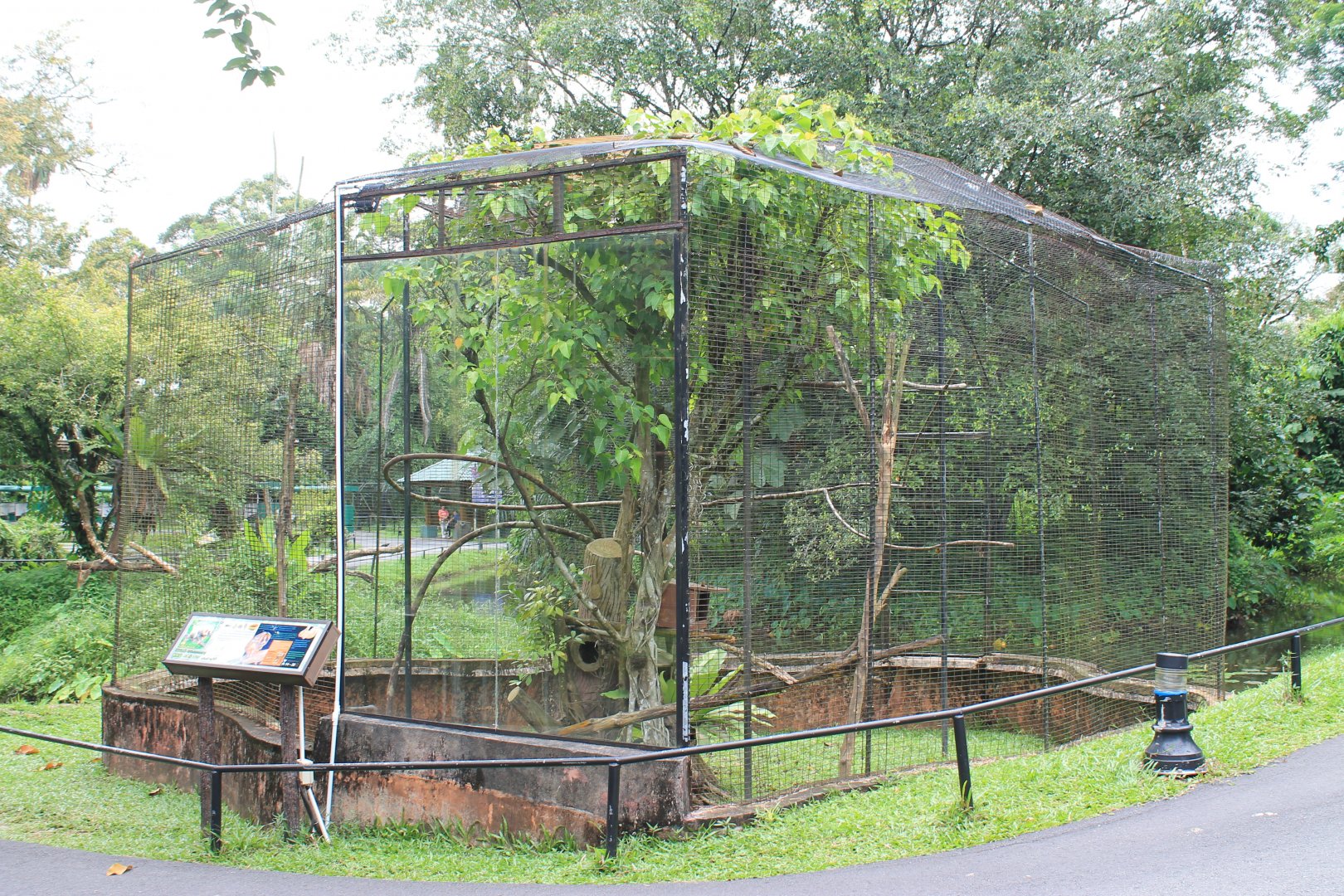 cage for Sunda Slow Loris (Nycticebus coucang)