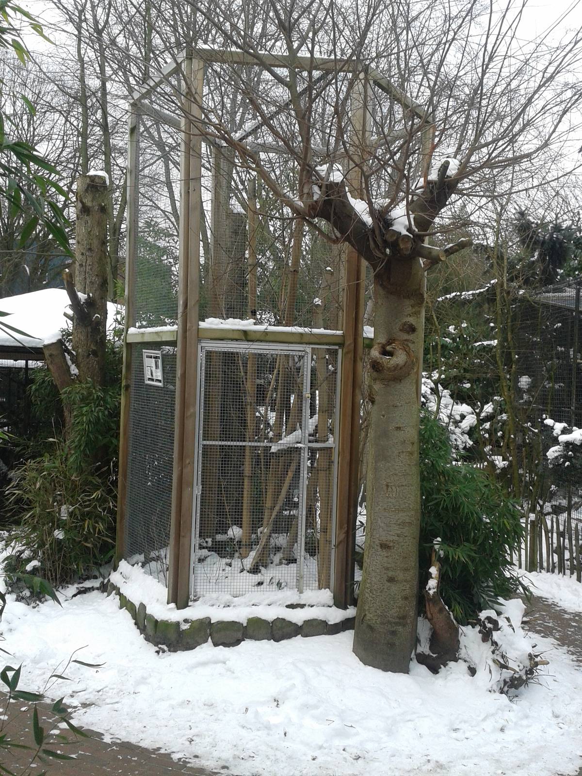 Cage for Swinhoe's striped squirrel