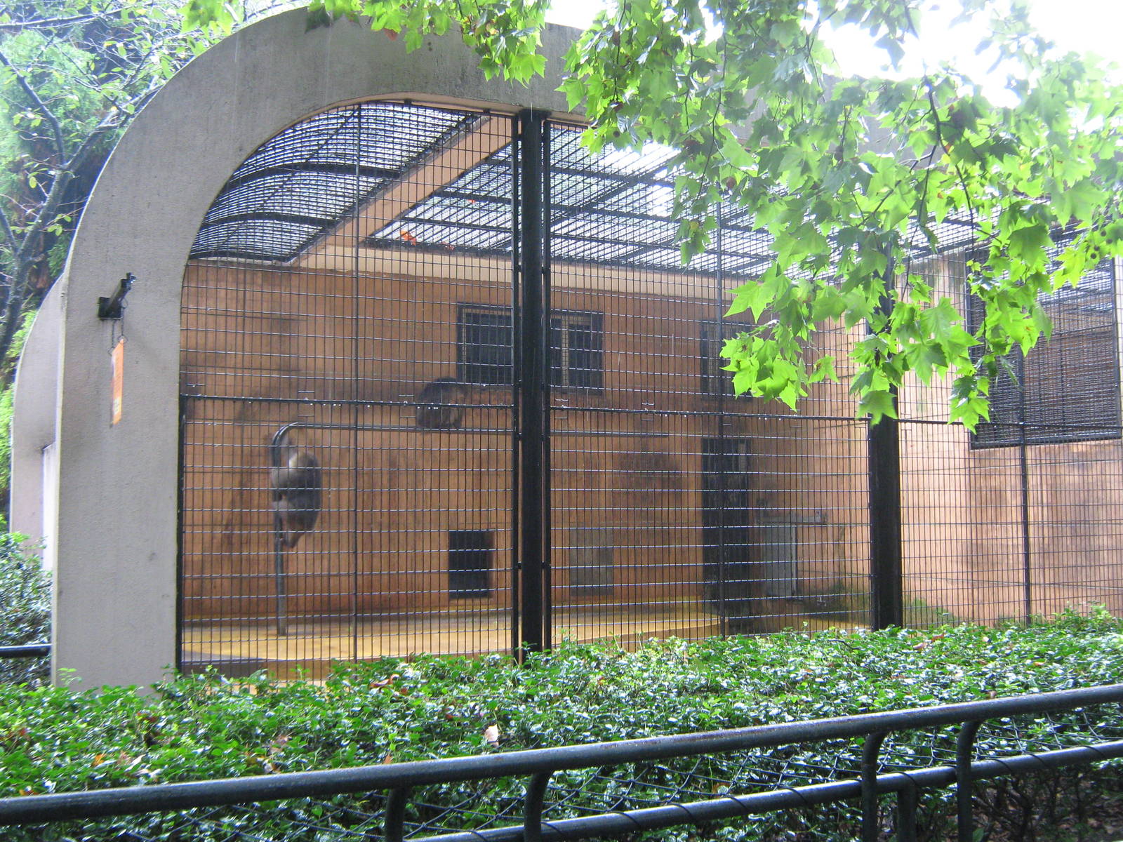 cage for Tibetan macaques (Macaca thibetanus)