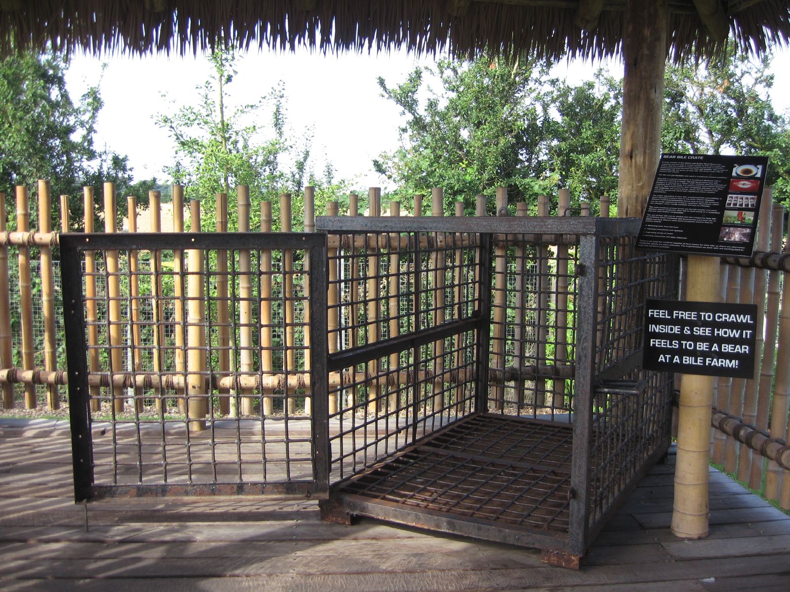 Cage from the bear farm...