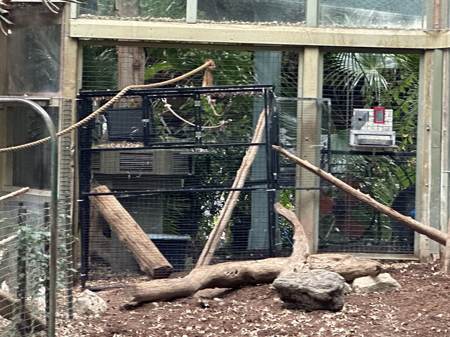 Cage in Gibbons Exhibit