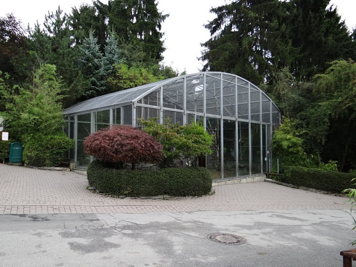 Cage of Macaca sylvana