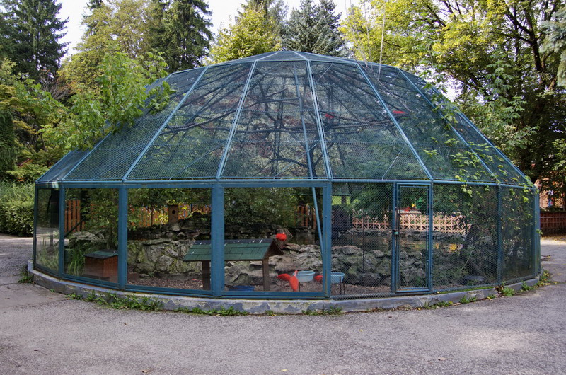 Cage of Scarlet Ibises and waterfowls