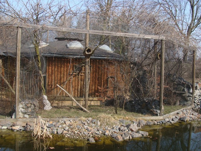 Cage of smaller monkeys