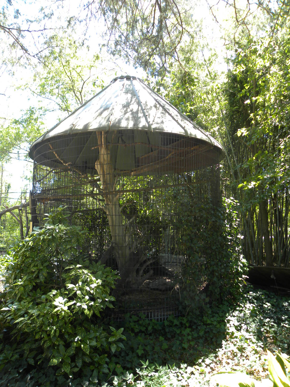 Cage that I believe holds owls