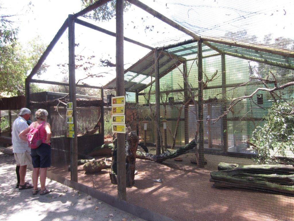 Cagebird Aviary