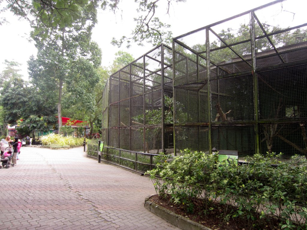 Cages and Aviaries