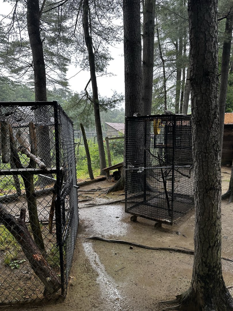 Cages for birds inside of Mara Habitat