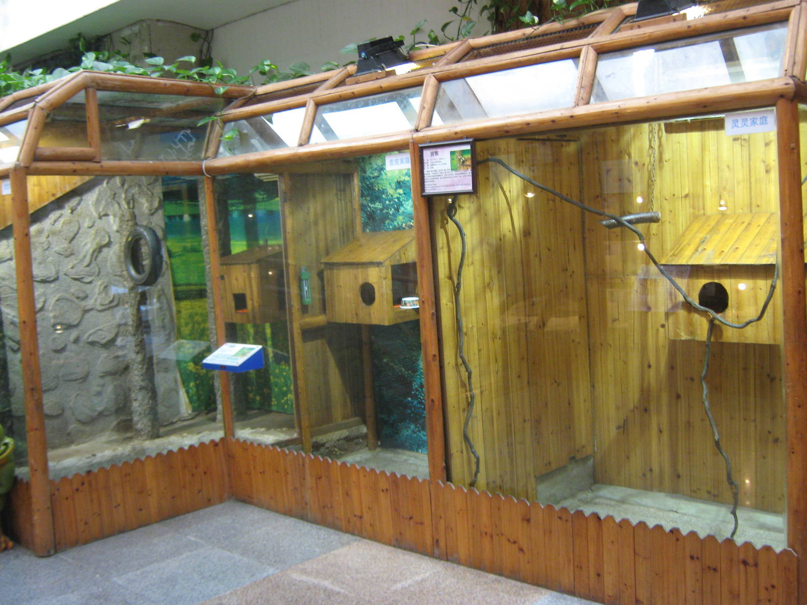cages for common marmosets (Callithrix jacchus)