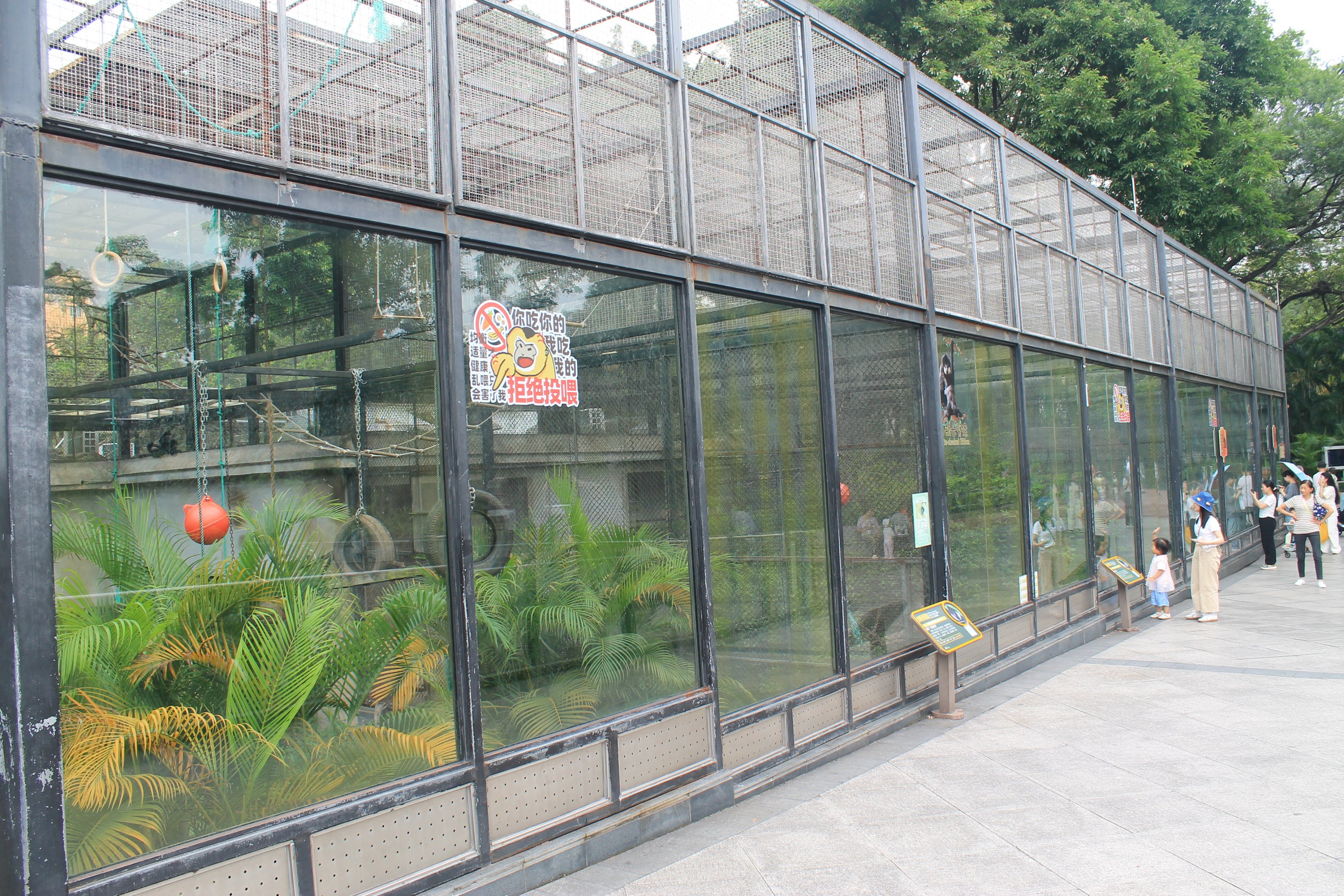 Cages for gibbons