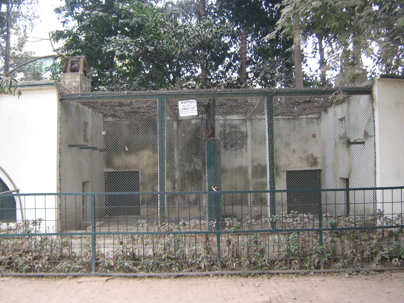 cages for jungle cats (Felis chaus)