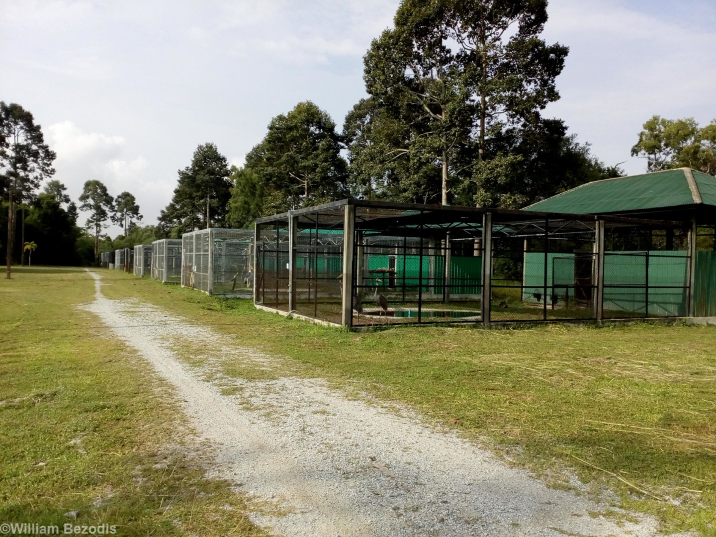 Cages for Large Waterbirds
