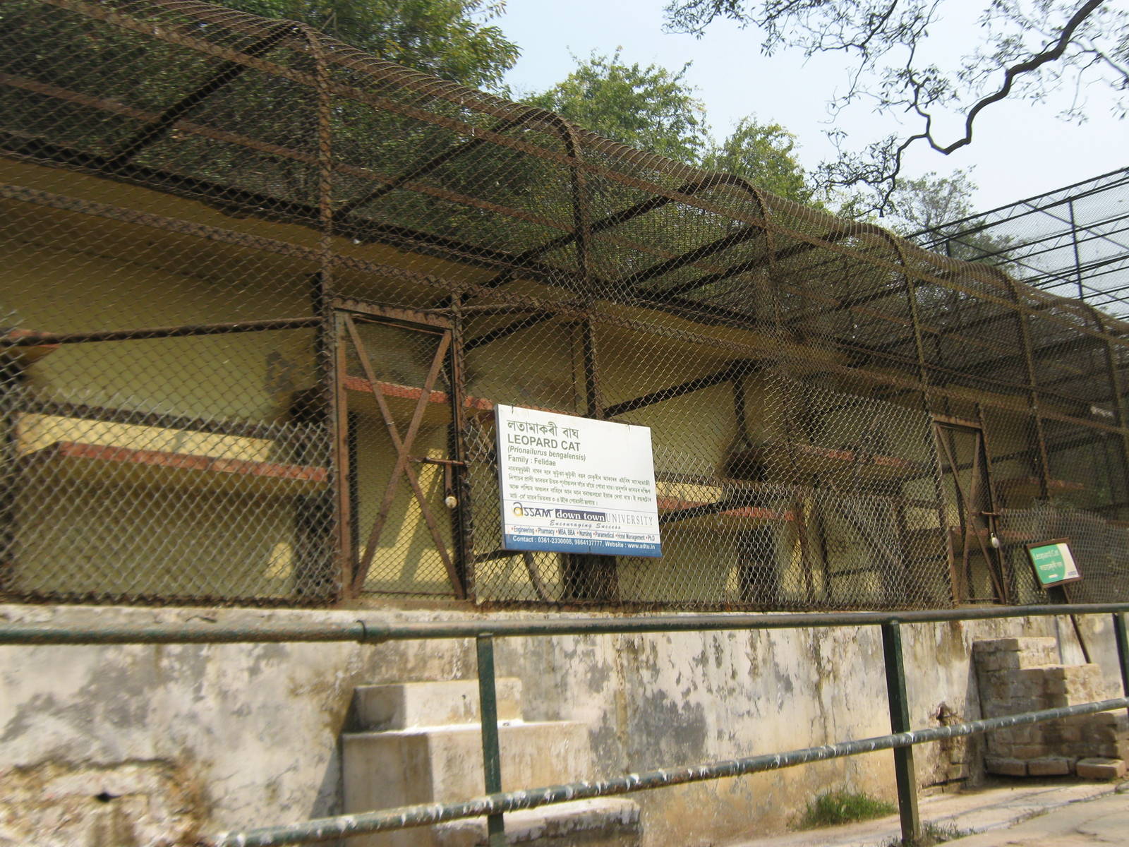 cages for leopard cats