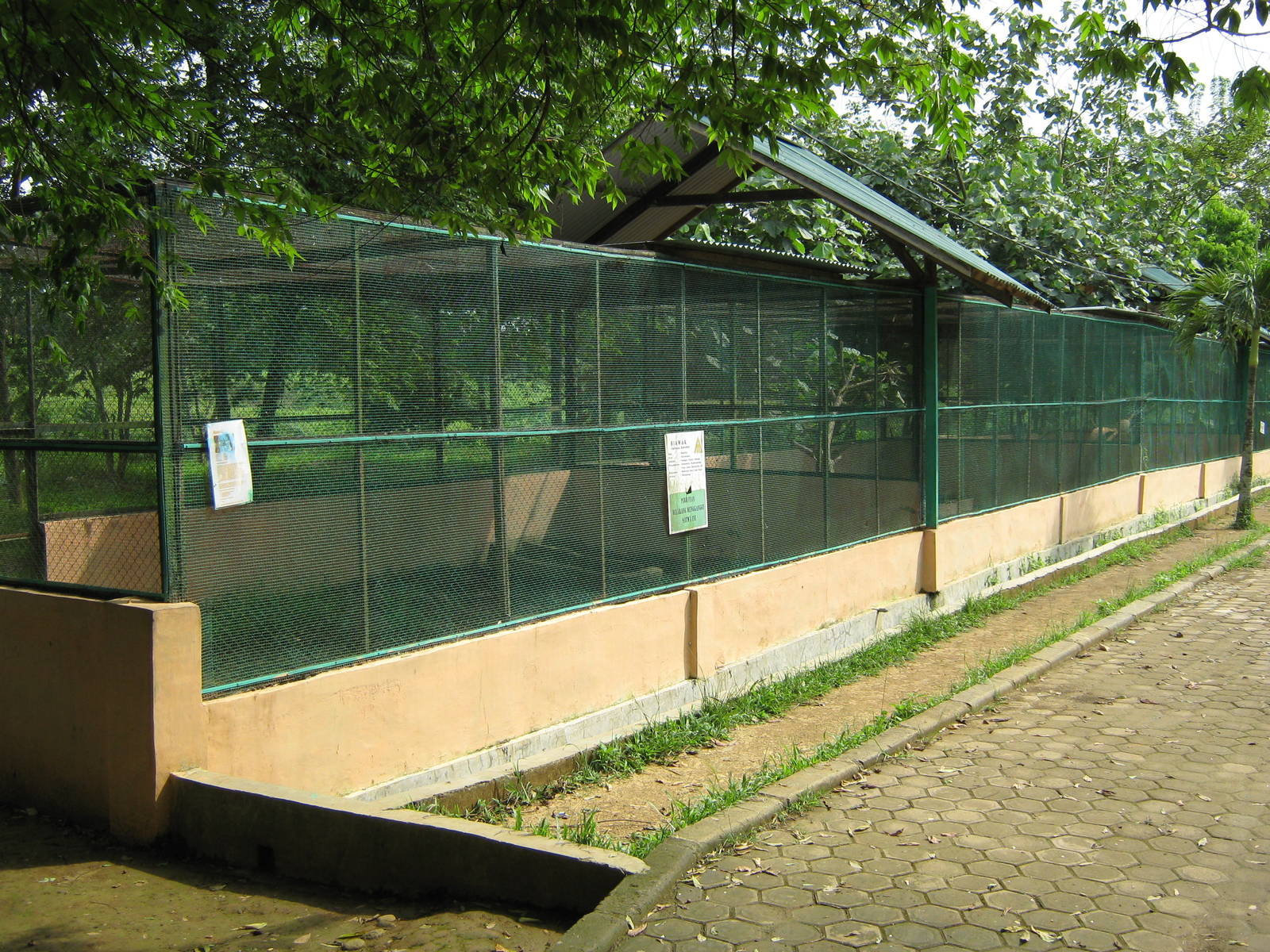 cages for reptiles (and civets)