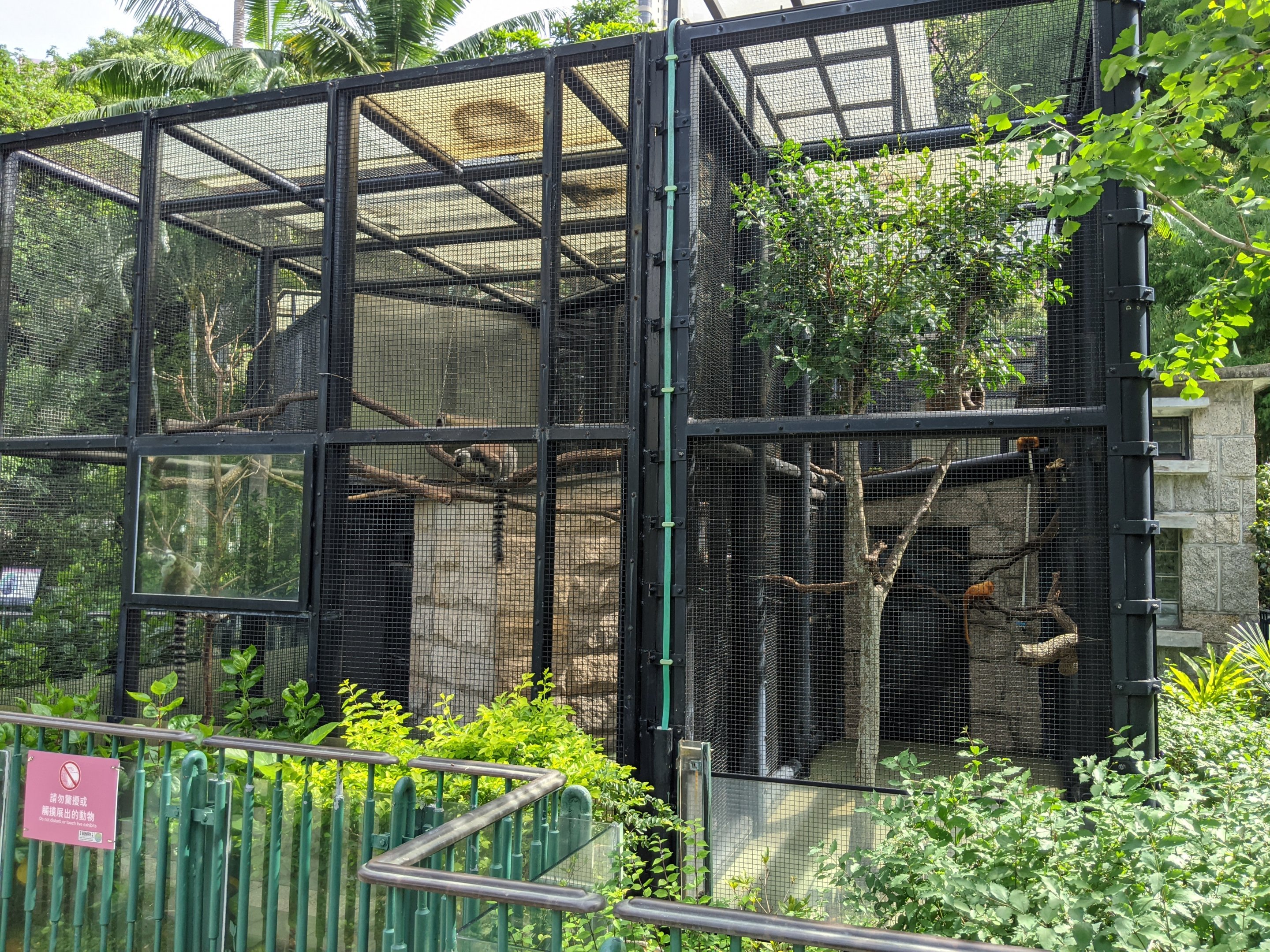 Cages for Ring-tailed Lemurs and Lion Tamarins