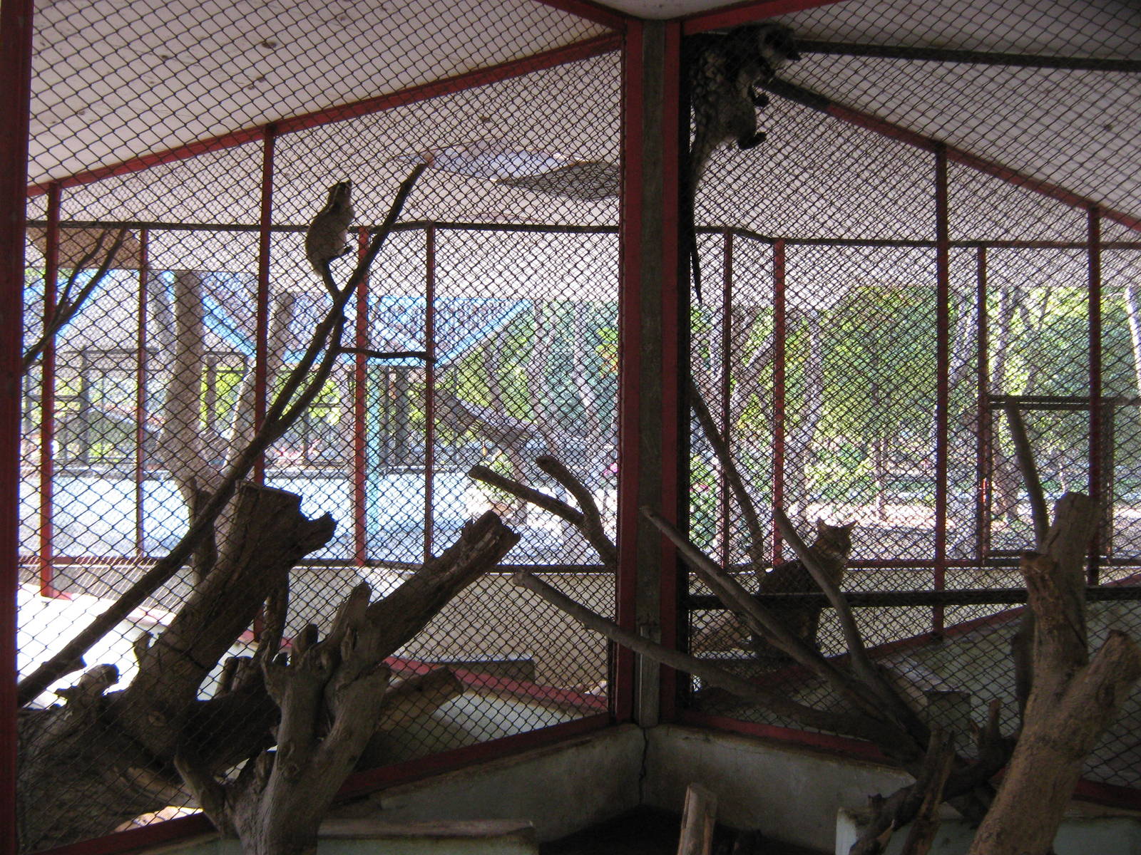 cages for small mammals