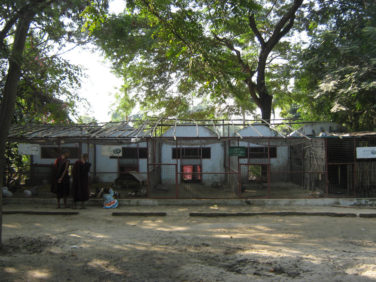 cages for small mammals