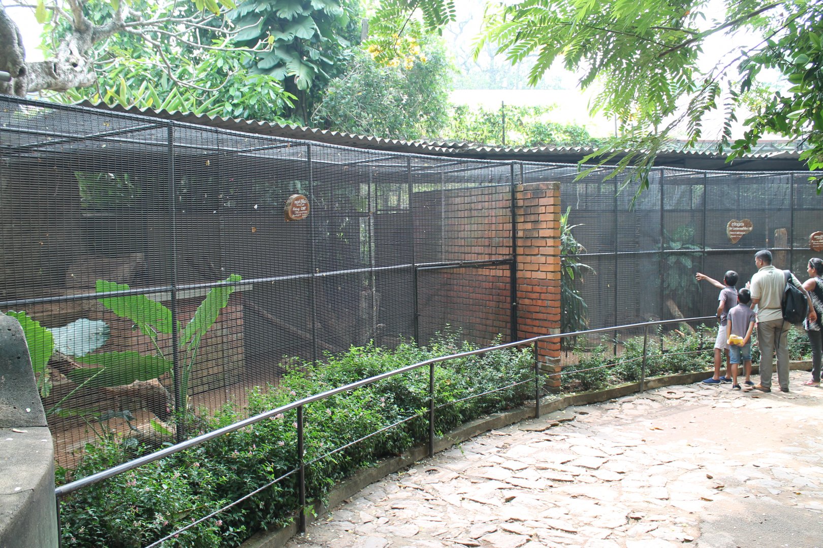 cages for small mammals