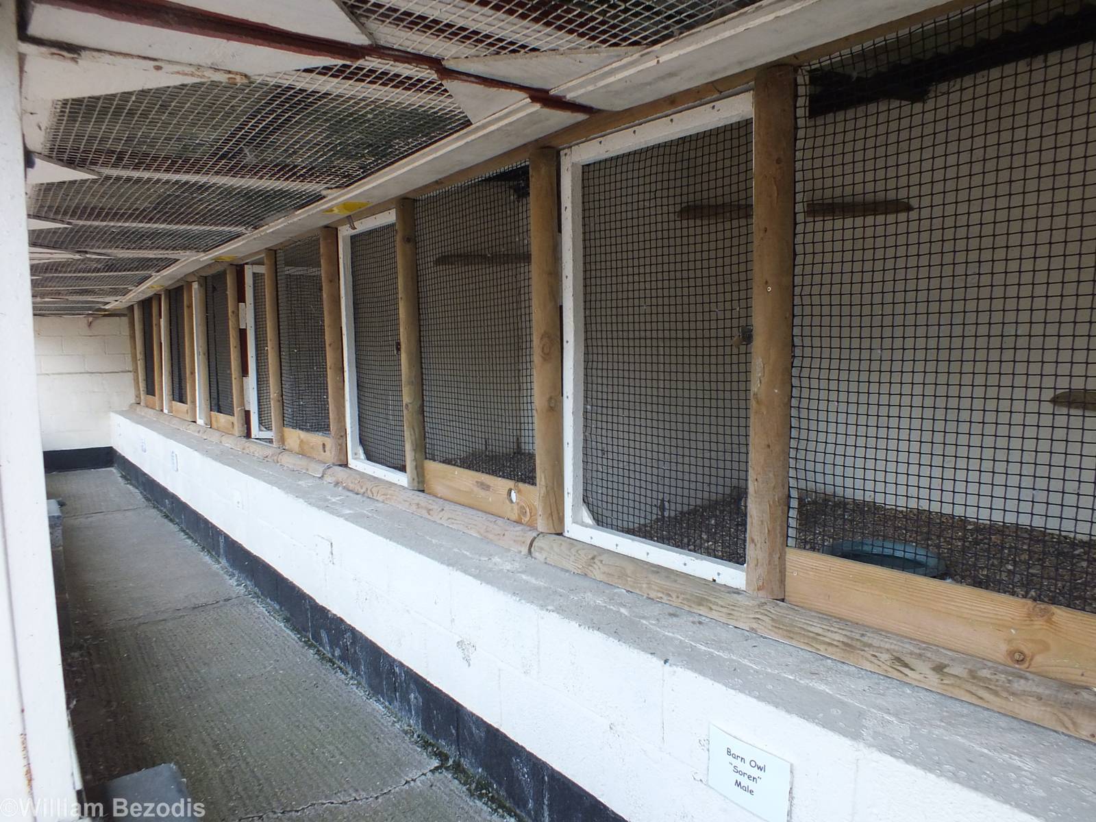 Cages for Smaller Owls