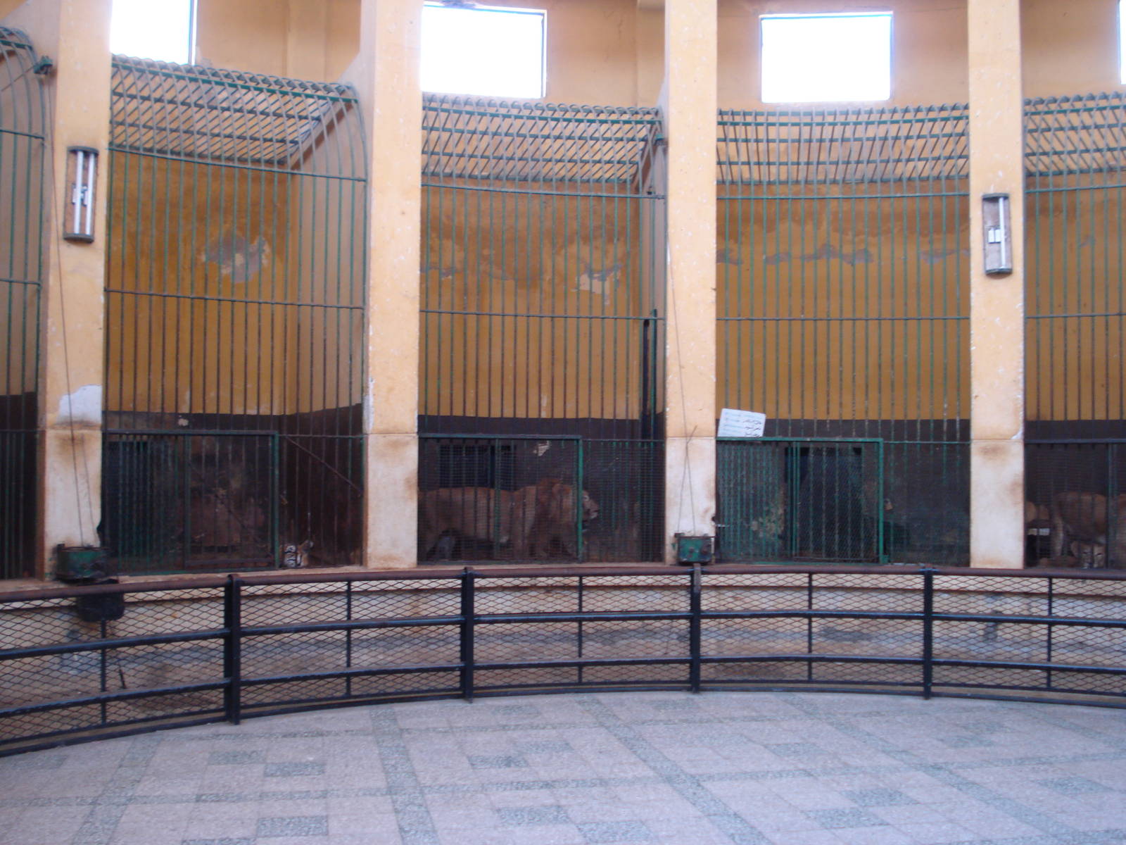 Cages in the lion house