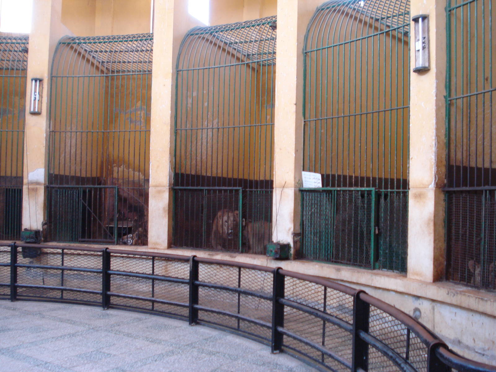 Cages inside lion house