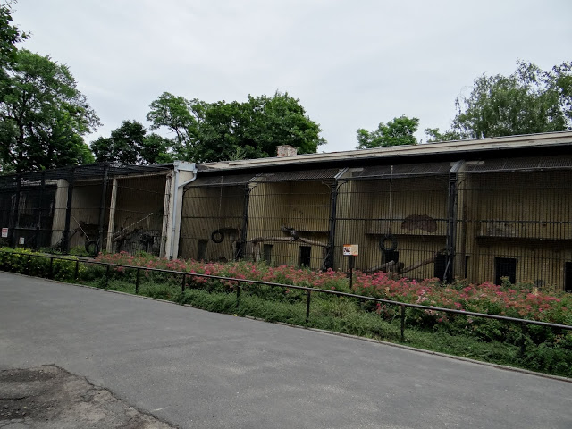 Cages of monkeys - at one time of predators. Relic of the communism :)