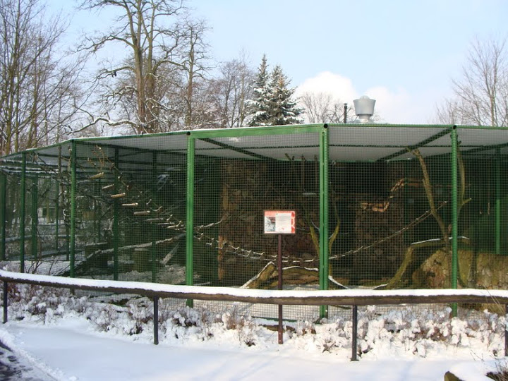 Cages of small monkeys