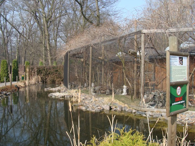 Cages of smaller monkeys