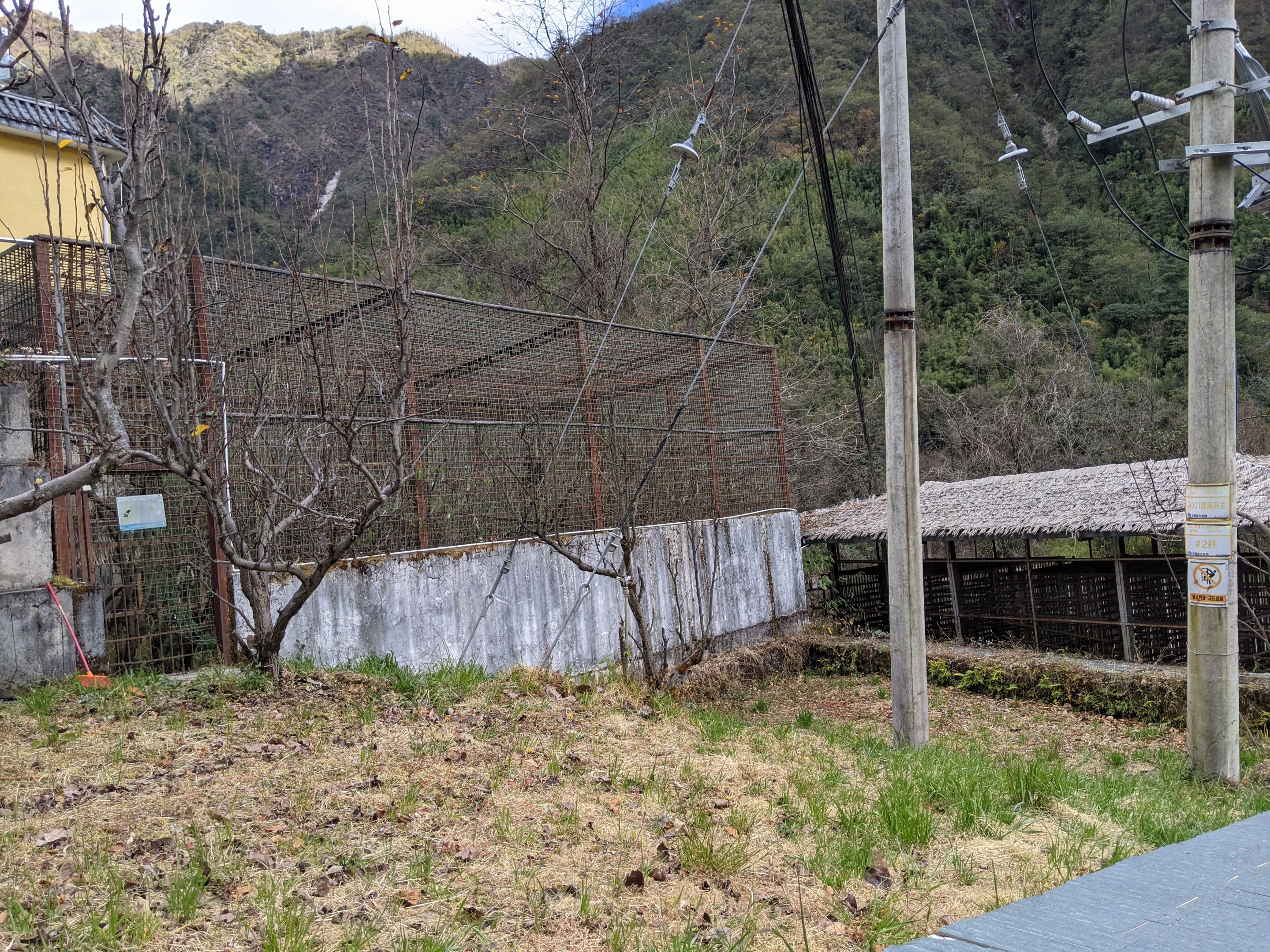 Cages, Yaojiaping Rescue Centre