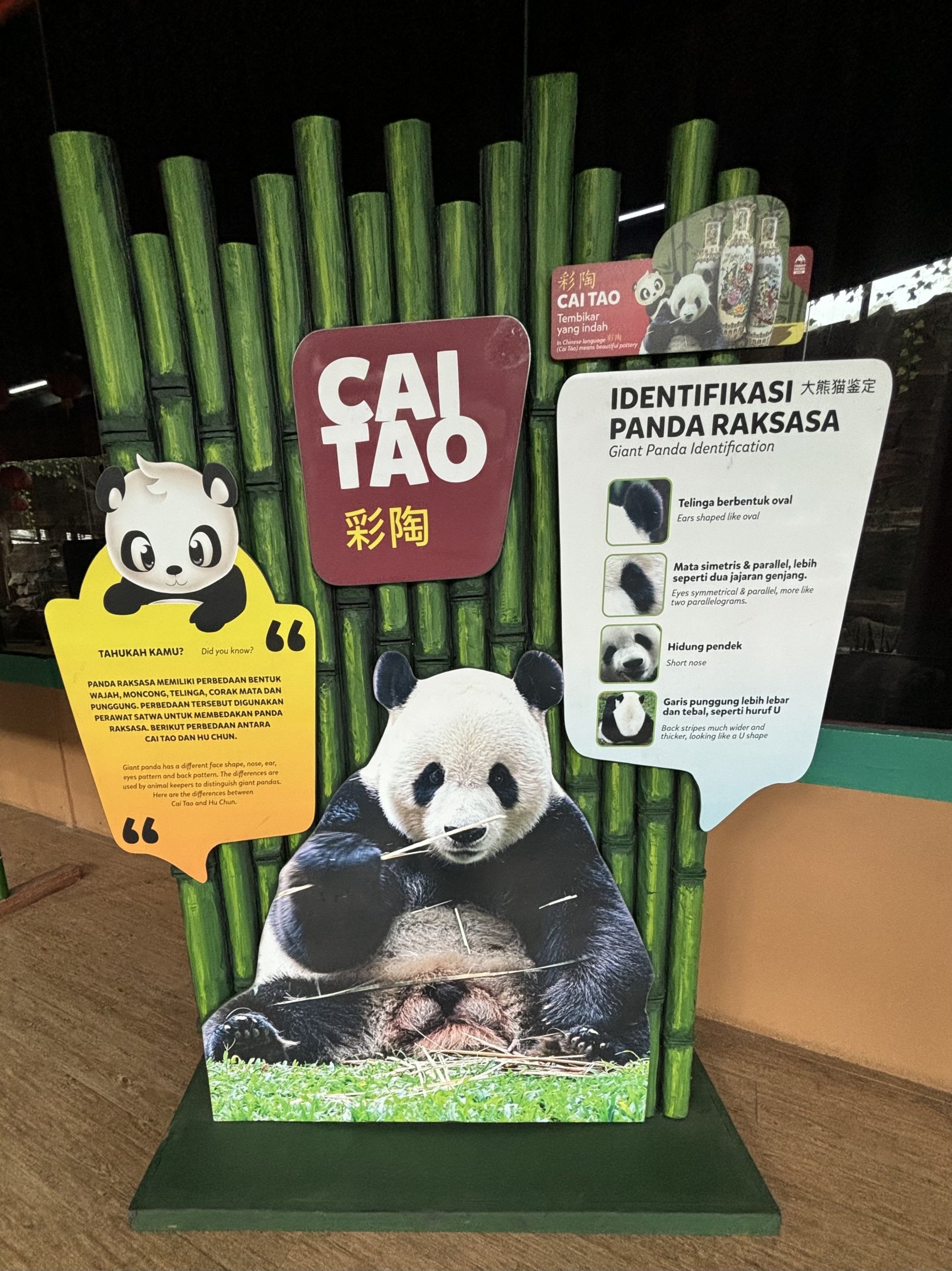 Cai Tao - Giant Panda Complex