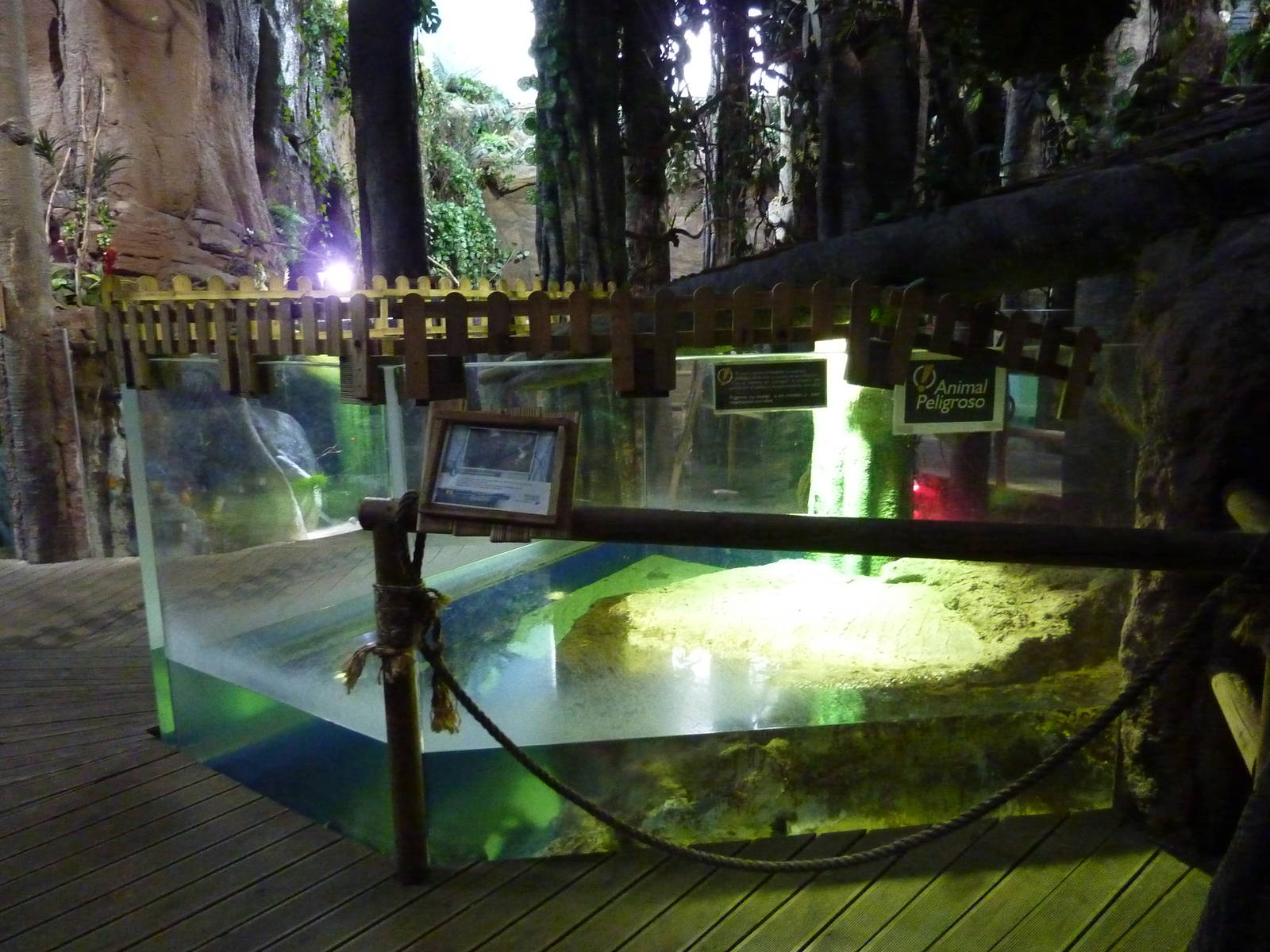 Caiman enclosure, 10th April 2012