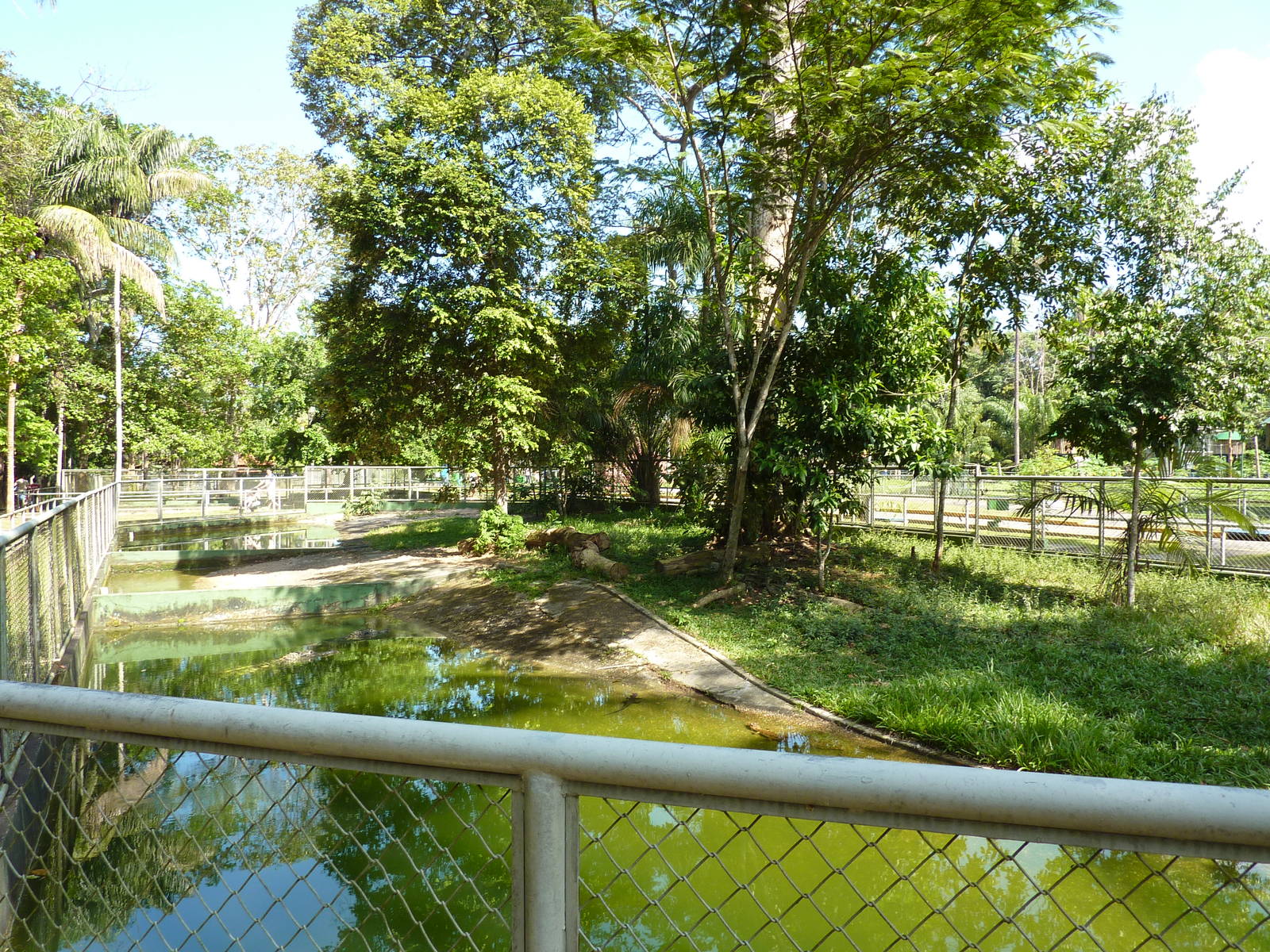 Caiman enclosure
