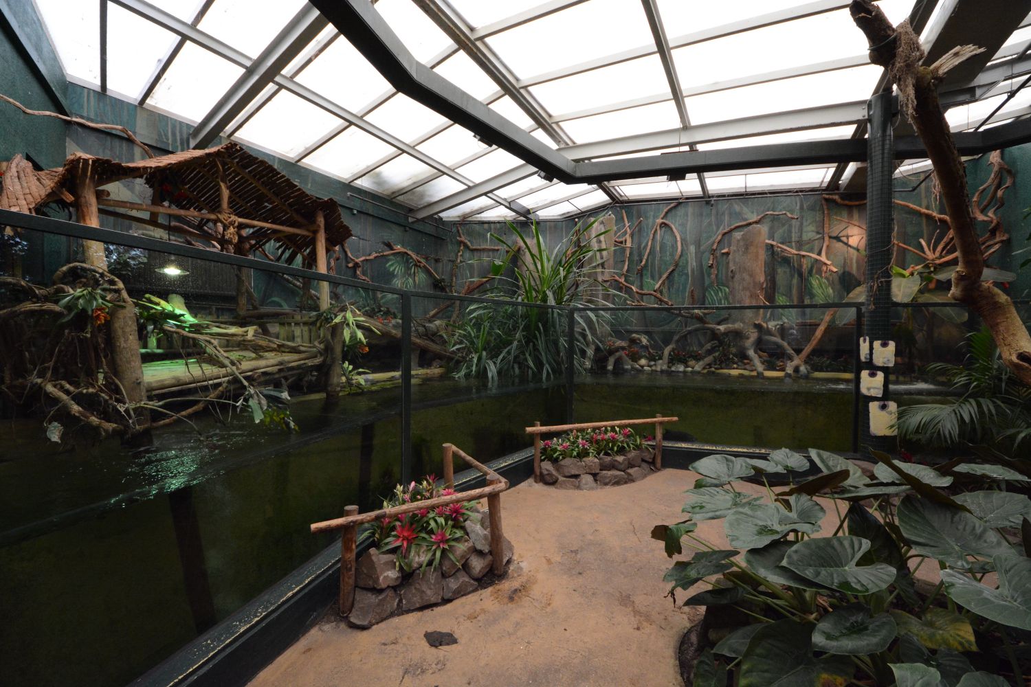 Caiman enclosure