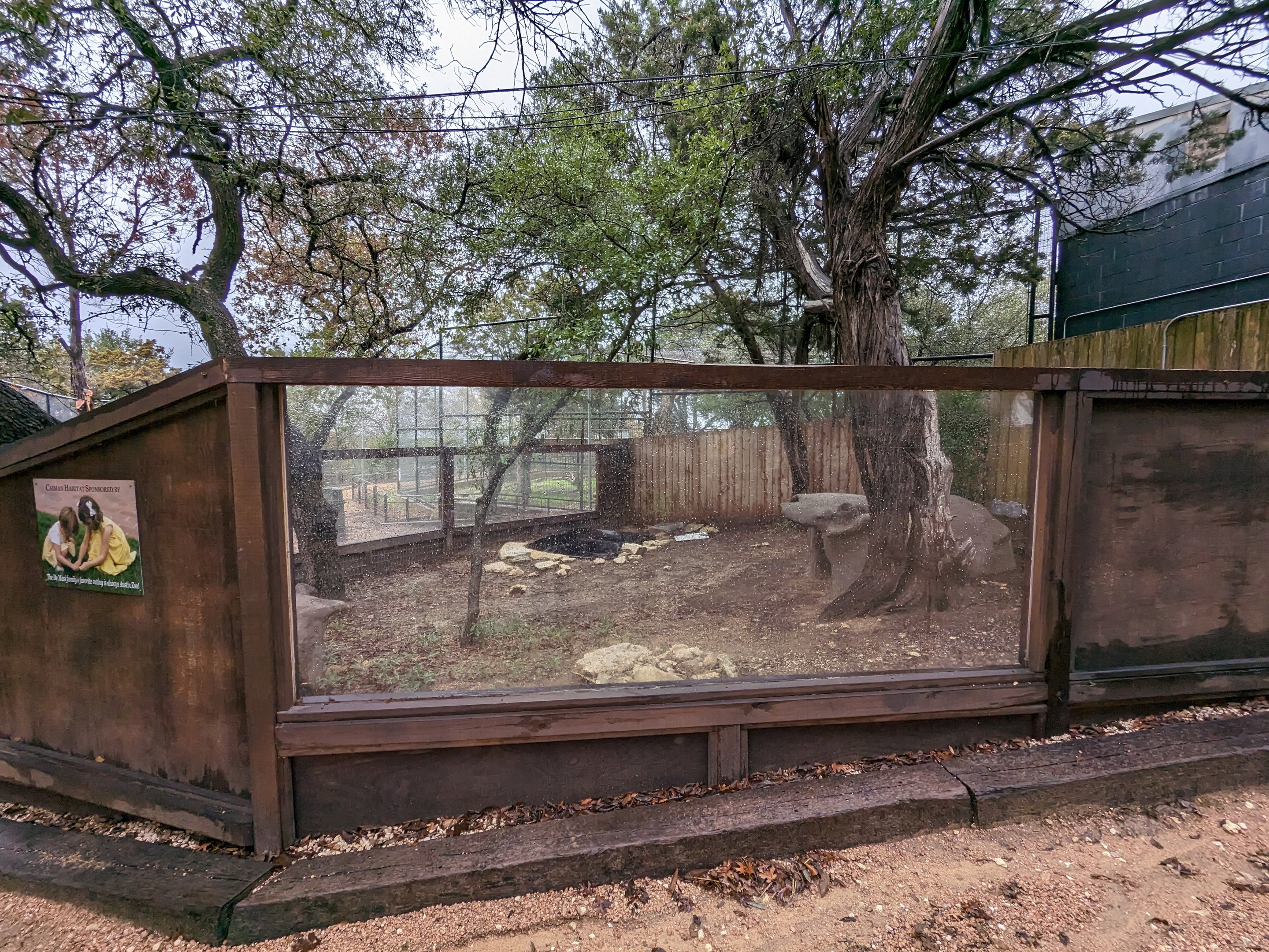 Caiman enclosure
