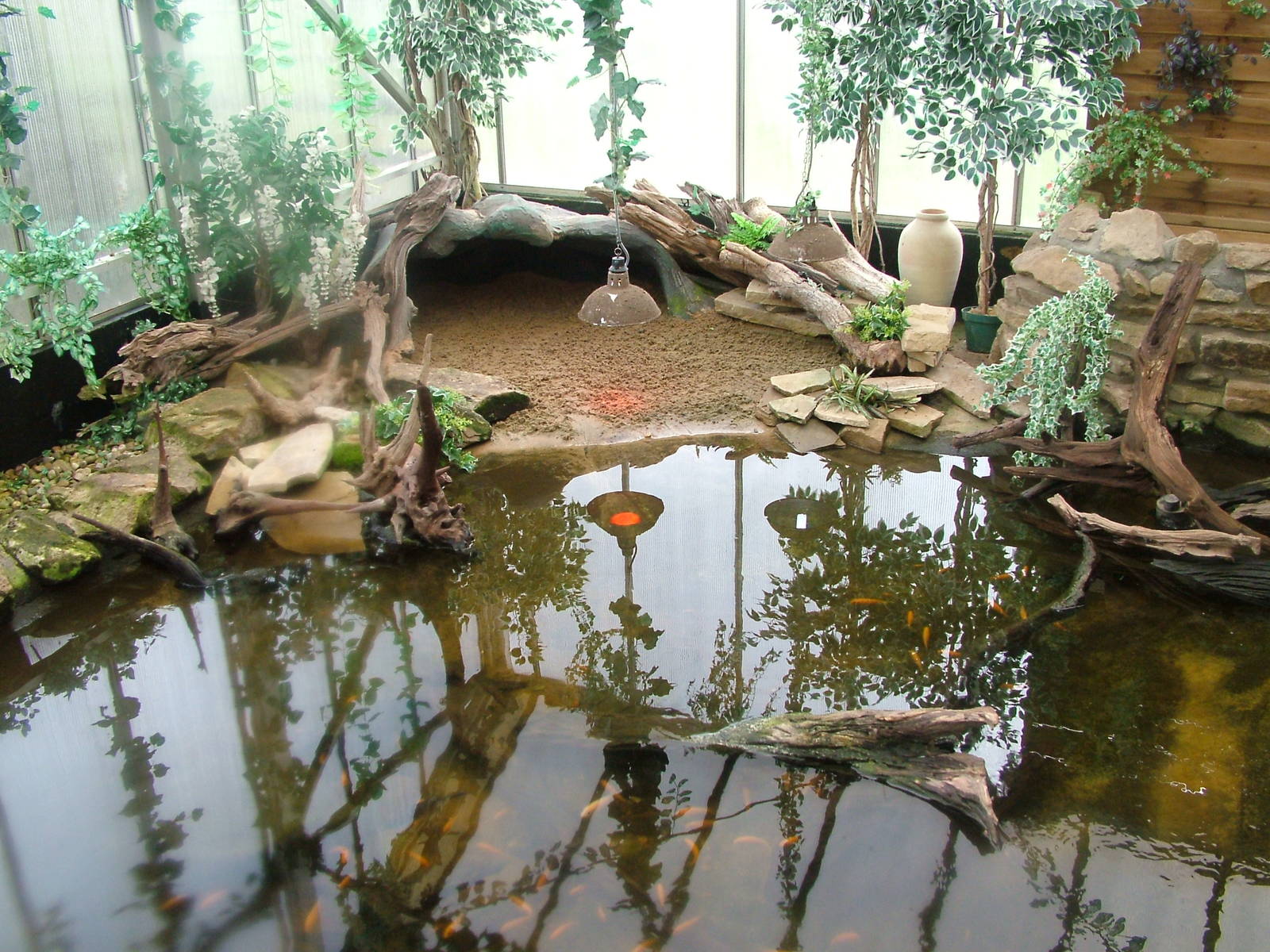 Caiman exhibit at Shepreth 05/04/10