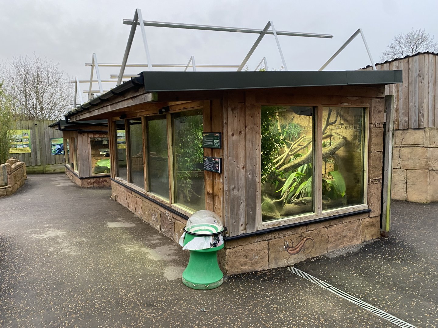 Caiman lizard/Red-footed tortoise exhibit 040124