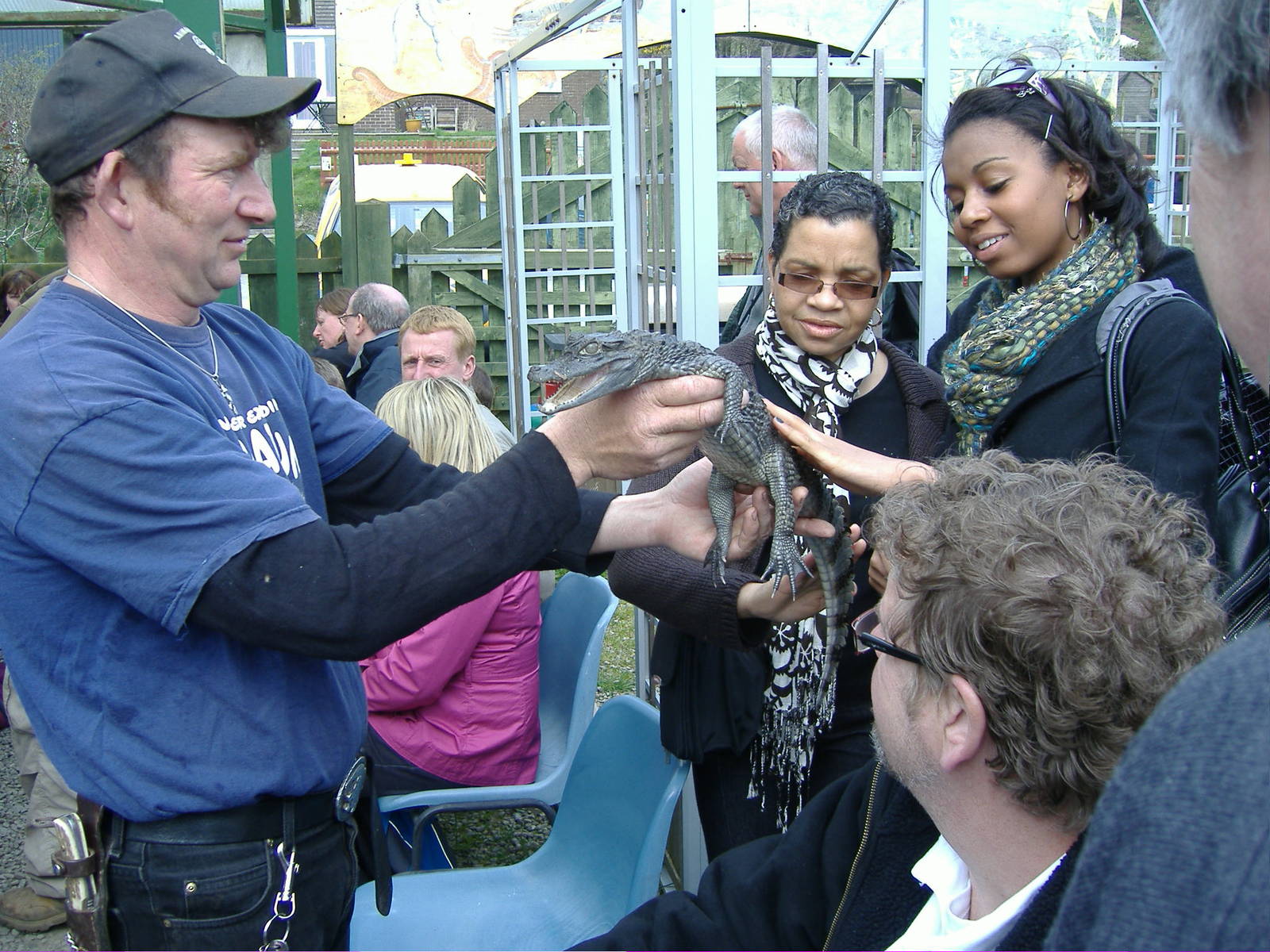 Caiman reptile display Animalarium