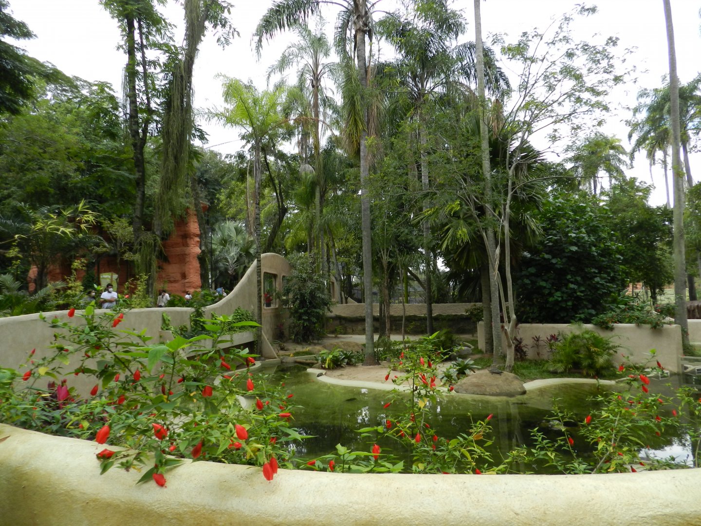 Caiman/turtle exhibit - BioParque do Rio