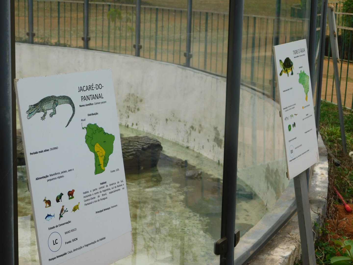 Caimans and sliders information sign - Brasilia zoo