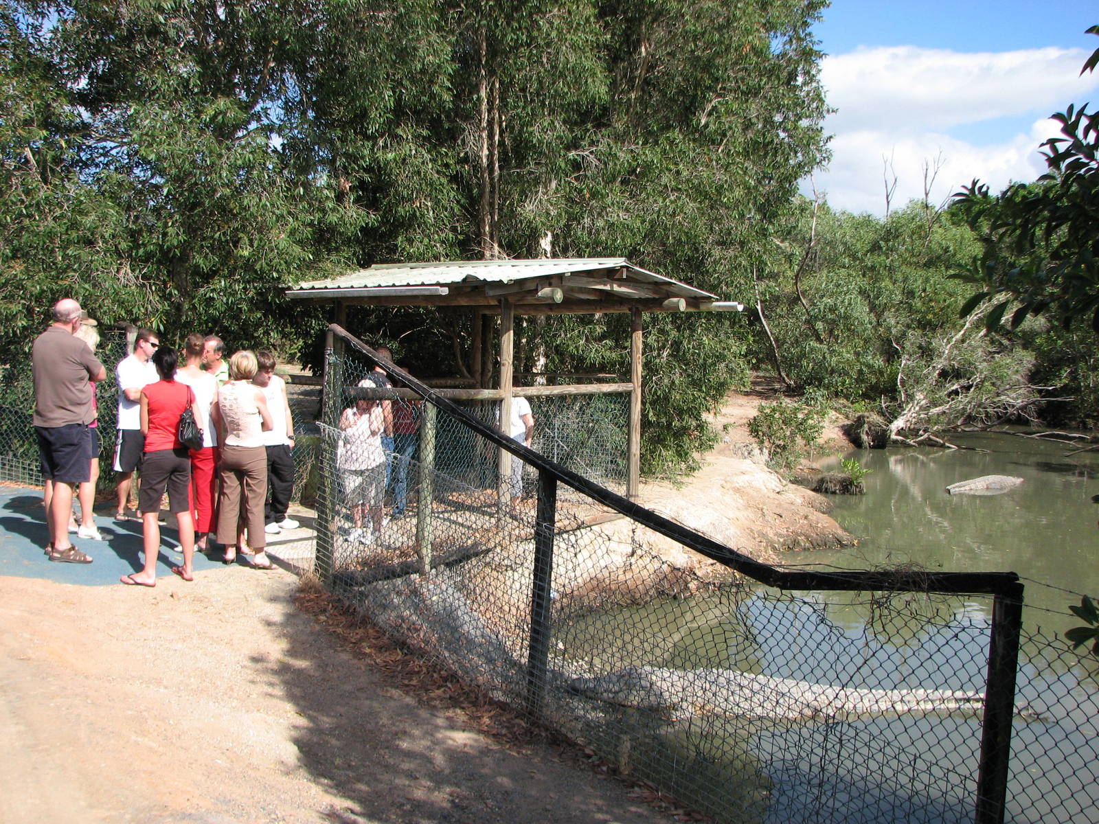 Cairns Crocodile Farm 2007 - Breeding enclosure