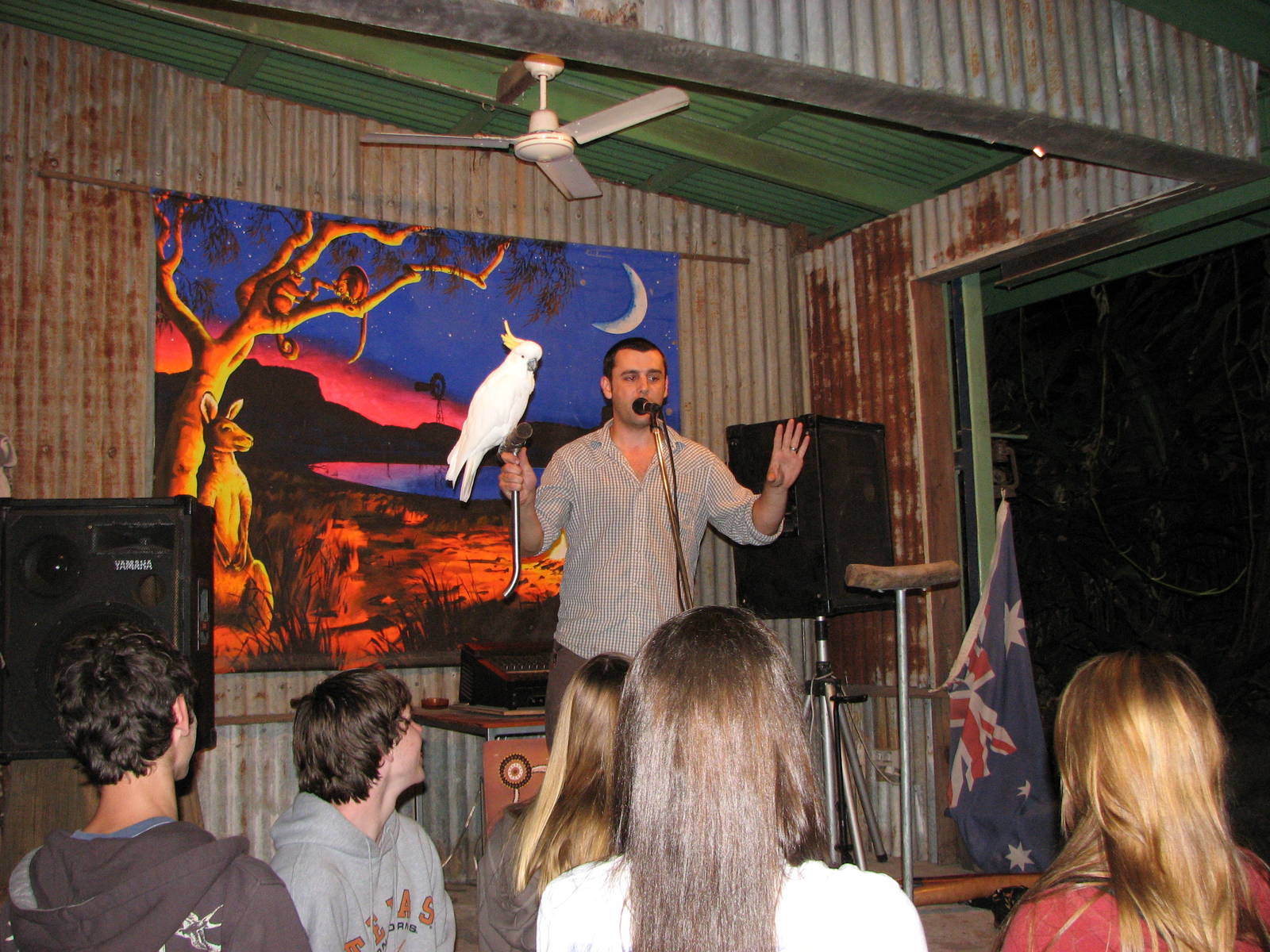 Cairns Night Zoo 2007 -Keeper shows a Sulphur Crested Cockatoo