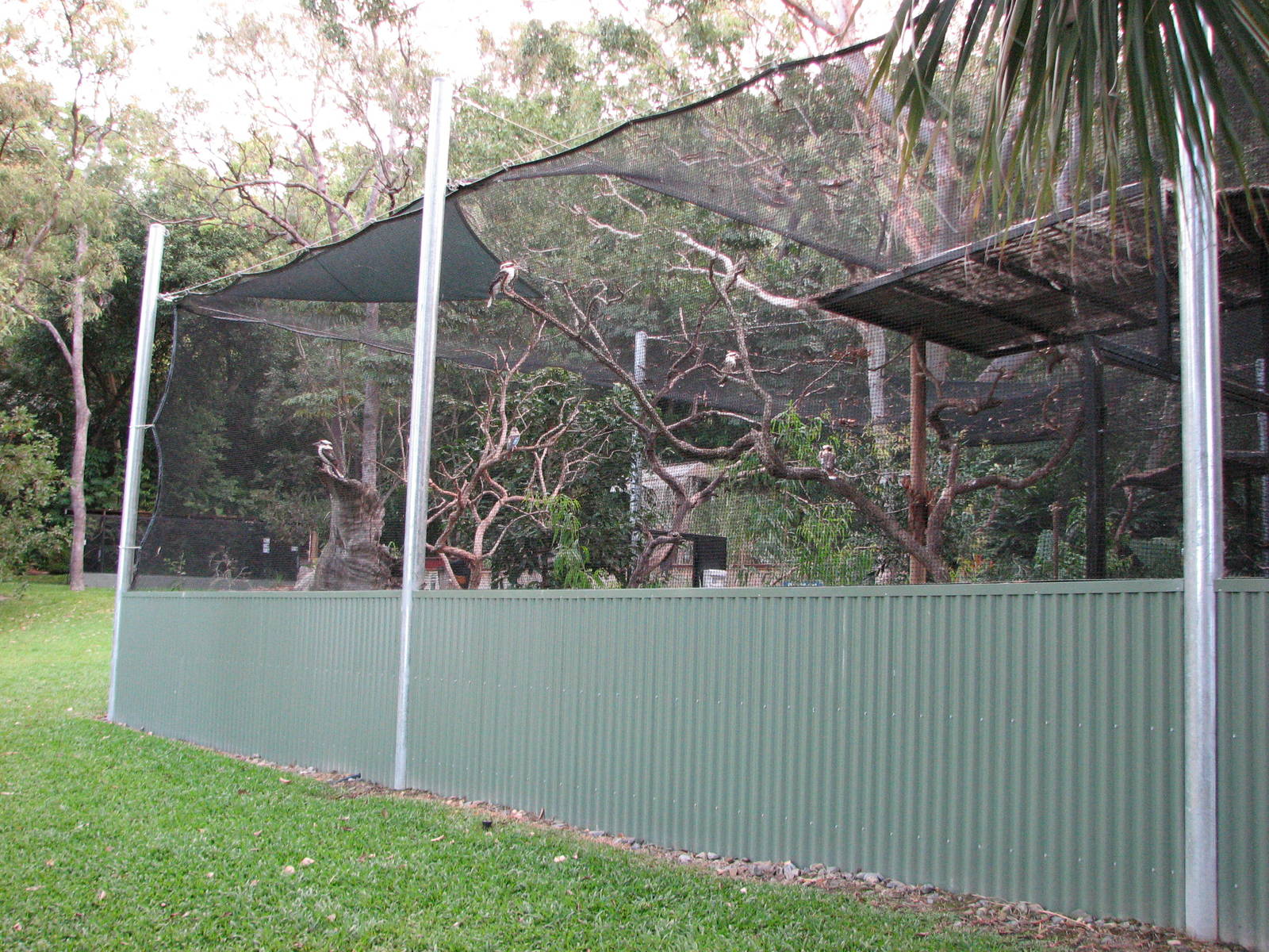 Cairns Tropical Zoo 2007 - Aviary