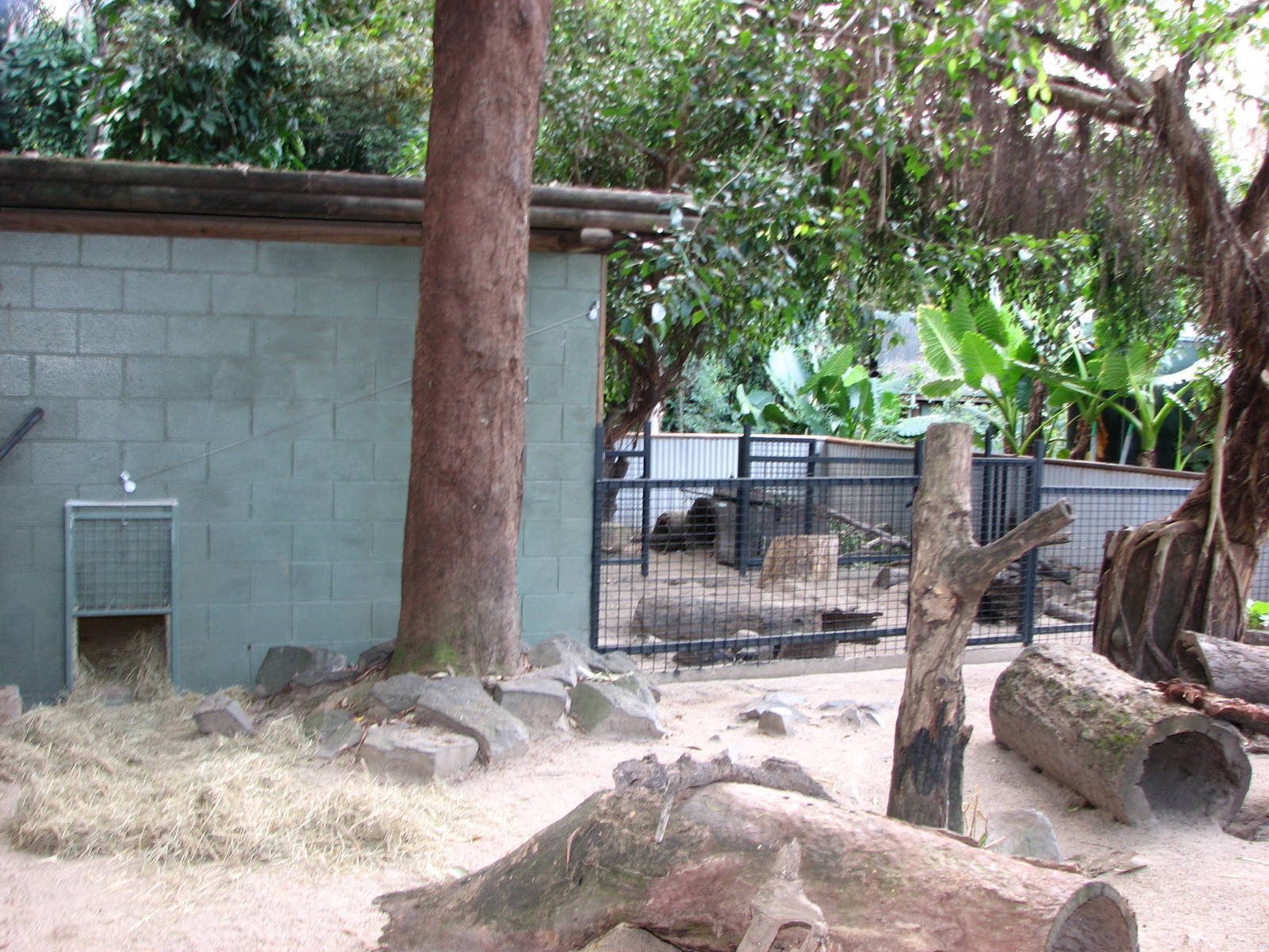 Cairns Tropical Zoo 2007 - Common Wombat enclosure