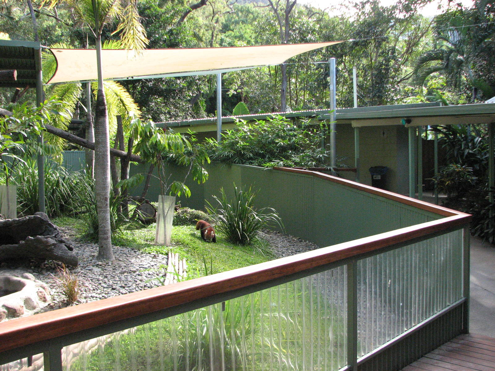Cairns Tropical Zoo 2007 - Front of Red Panda exhibit