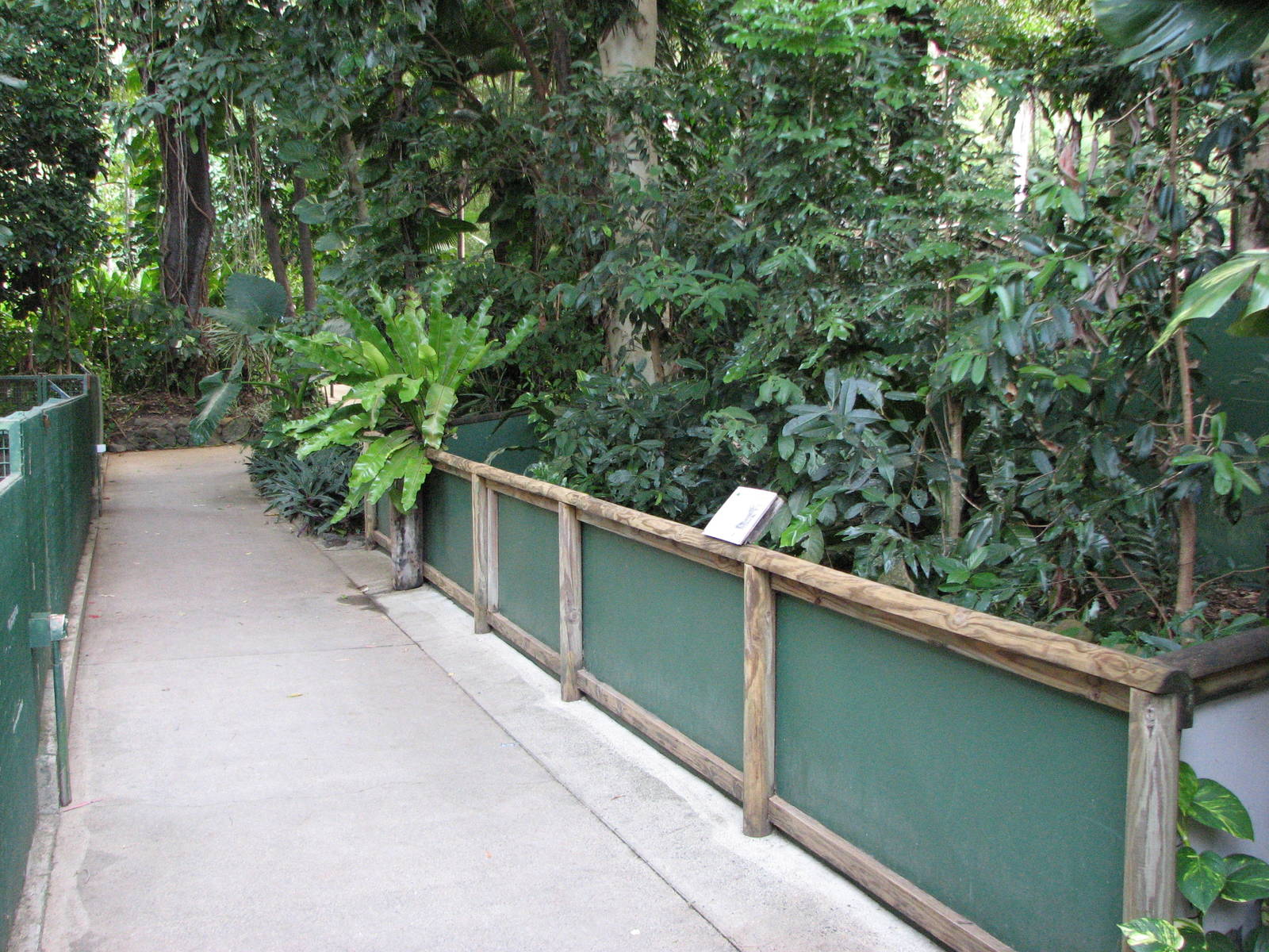 Cairns Tropical Zoo 2007 - Mixed enclosure for Monitors and Lizards