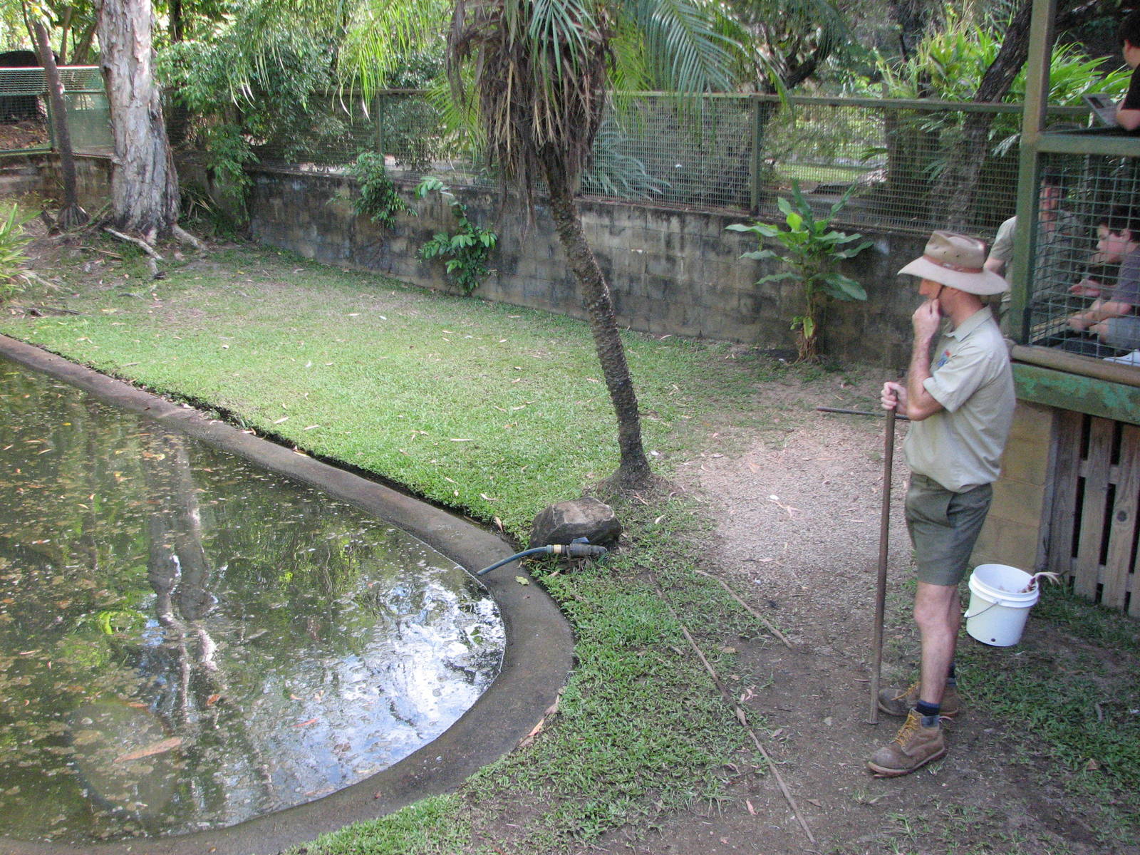 Cairns Tropical Zoo 2007 - Saltwater Crocodile feeding session