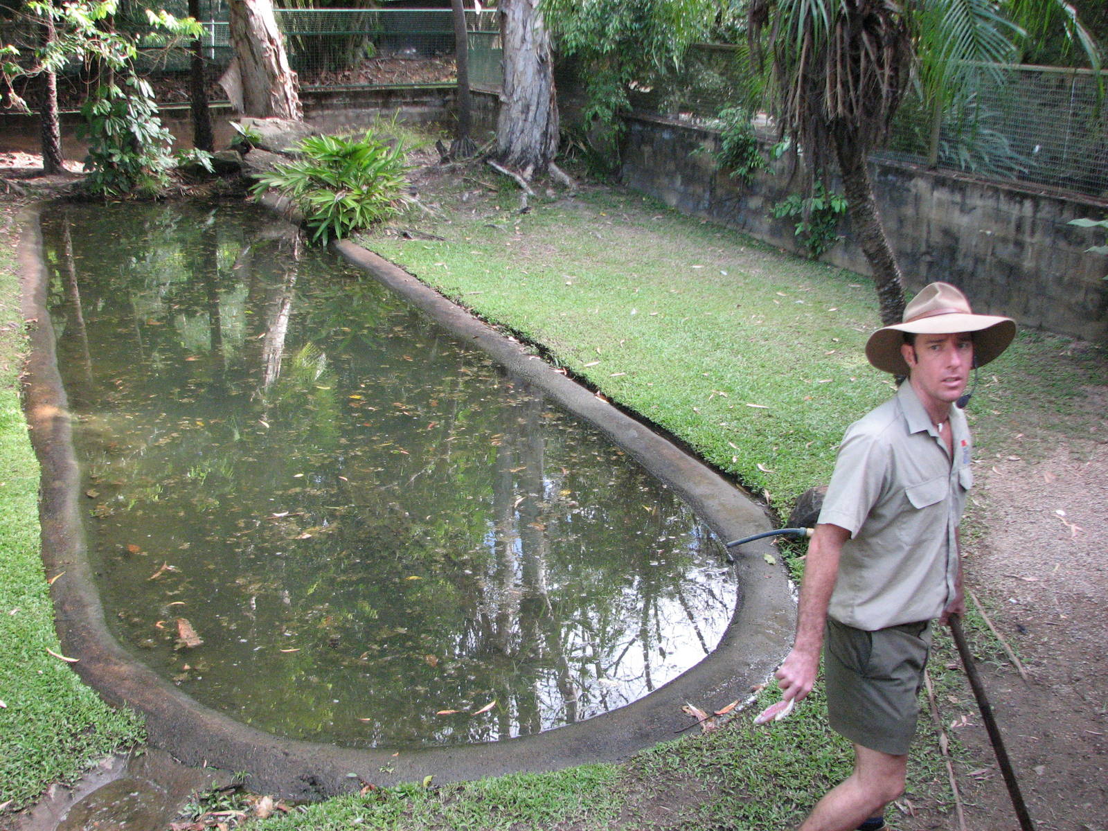 Cairns Tropical Zoo 2007 Saltwater Crocodile feeding session